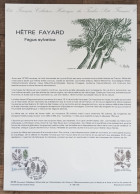 COLLECTION HISTORIQUE - YT N°2384 - NATURE DE FRANCE / ARBRES - 1985 - 1980-1989