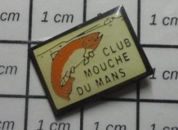 3517 Pin's Pins / Beau Et Rare / ANIMAUX / POISSON TRUITE CLUB MOUCHE DU MANS PECHE - Animali