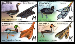 2023 Belarus 1489-1492	Birds - Features Of Waterfowl 12,60 € - Patos