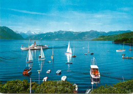Navigation Sailing Vessels & Boats Themed Postcard Lausanne La Rade D' Ouchy - Segelboote