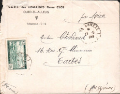 ALGERIE SEUL SUR LETTRE A EN TETE DE OUED EL ALLEUG POUR LA FRANCE 1949 - Cartas & Documentos