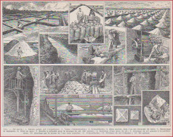 Sel. Exploitation. Marais Salant, Mine, Cristallisoirs Etc... Illustration Maurice Dessertenne. Larousse 1948. - Historische Dokumente