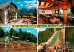 73653648 Berchtesgaden Berggasthof Oberkaelberstein Restauran Terrasse Wildgeheg - Berchtesgaden