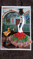 CARTE  BRODEE FOKLORE FOLKLORIQUE ESPAGNE ESPAGNOLE COUPLE DANSE FLAMENCO GUITARE TETE TAUREAU BUSTE BLANC PRAT - Bordados