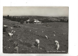 Val-de-Travers (Suisse, Neuchâtel) : Le Châlet De La Petite Robellaz  En 1960 GF. - Val-de-Travers