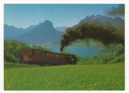 LOCOMOTIVE À VAPEUR DE LA SÉRIE  999.  LARGEUR DE VOIE 1000 Mm ( MONTE À TRAVERS LE HOCHALM ) - Trenes