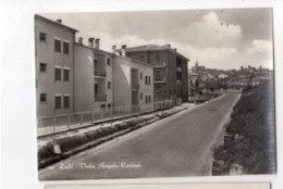 TODI Viale A. Cortesi 1958 - Autres & Non Classés