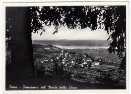 TAINO - PANORAMA DAL MONTE DELLA CROCE - VARESE - 1950 - Varese