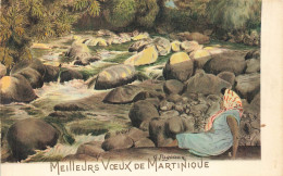 MEILLEURS VOEUX DE MARTINIQUE ( DOS NON IMPRIME) - Sonstige & Ohne Zuordnung