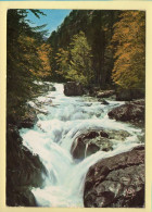 65. CAUTERETS – Cascade Du Pas De L'Ours (voir Scan Recto/verso) - Cauterets