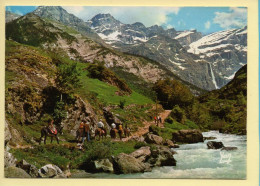 65. GAVARNIE – Sur Le Chemin Du Cirque / En Route Pour La Grande Cascade (animée) (voir Scan Recto/verso) - Gavarnie