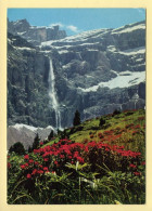 65. GAVARNIE – Rhododendrons Et Cascade Du Cirque (voir Scan Recto/verso) - Gavarnie