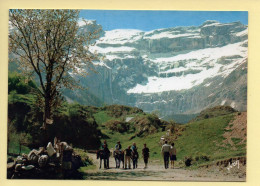 65. GAVARNIE – Le Sentier Qui Mène Au Cirque (animée, Chevaux) (voir Scan Recto/verso) - Gavarnie