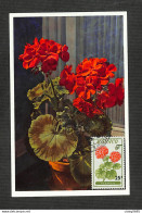 MONACO - Carte MAXIMUM 1959 - GERANIUM - Maximum Cards