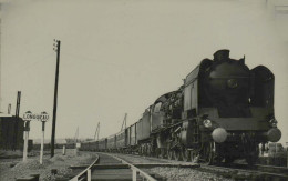 231 K 27 - Photo G. F. Fenino, Creil 1952 (panneau Longueau) - Trains