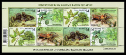 2023 Belarus 1498-1501/B222 Flora And Fauna Of Belarus 25,20 € - Meereswelt