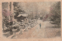 ZY 1- ( JAPAN ) STONE LANTERNS , NIKKO - 2 SCANS - Other & Unclassified