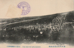 ZY 2- ( CHINA ) - THE IRON NET ON SHOJISAN - 2 SCANS - Cina