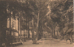 ZY 3- ROMA ( ITALIA ) - VILLA UMBERTO I ( BORGHESE ) - VIALE - 2 SCANS - Other & Unclassified