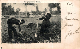 K0105 - L' Arrachage Des Pommes De Terre - Les Paysans De France - Bauern