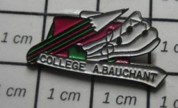 3517 Pin's Pins / Beau Et Rare / ADMINISTRATIONS / COLLEGE A BAUCHANT CRAYON PORTEE MUSICALE - Administration