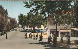 ZY 7- TIARET ( ALGERIE ) - LA RUE CAMBON - ANIMATION -  2 SCANS - Tiaret