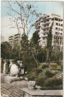 ZY 8- SETIF ( ALGERIE ) - JARDIN DU NOUVEAU QUARTIER - 2 SCANS - Sétif