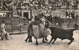 ZY 11 - CORRIDA DES TOROS - PICADOR - 2 SCANS - Corrida