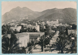 HAMMAN-LIF - Avenue Du Casino - Circulé 1947 - Tunisia