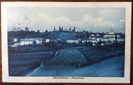 1916 TRICESIMO PANORAMA / UDINE - Otros & Sin Clasificación