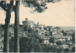 ZY 18-(06) CAGNES SUR MER - VUE A TRAVERS LES PINS  - 2 SCANS - Cagnes-sur-Mer