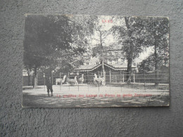 CPA Gent Gand Le Pavillon Des Lamas Du Pérou Au Jardin Zoologique - Gent