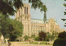 CPM - P - PARIS - LA CATHEDRALE NOTRE DAME ET LE SQUARE VIVIANI - Notre Dame Von Paris