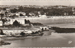 ZY 29-(17) SAINT GEORGES DE DIDONNE - VUE GENERALE DE LA PLAGE PRISE DU PHARE - VILLAS - 2 SCANS - Saint-Georges-de-Didonne