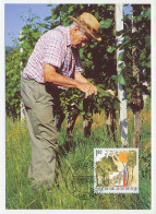 Maximum Card Liechtenstein 2003 Leaves Work - Trees
