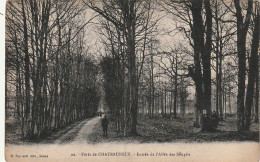 ZY 40-(28) FORET DE CHATEAUNEUF - ENTREE DE L' ALLEE DES SOUPIRS - 2 SCANS - Châteauneuf