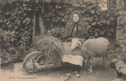 ZY 42 - LES PYRENEES - UNE JEUNE BERGERE - BREBIS ET CHARRETTE DE FOIN - 2 SCANS - Farmers