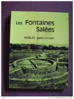 Les Fontaines Salées Vézelay Gallo-romain François Vogade Photos Cartes 1972 - Dépliants Touristiques