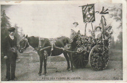 ZY 45-(31) LUCHON - FETE DES FLEURS - " FETE ENFANTINE 1903 "- ATTELAGE AVEC CARRIOLE FLEURIE - 2 SCANS - Luchon