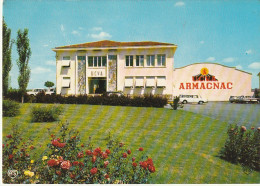 ZY 46-(32) EAUZE - VUE PARTIELLE DES BUREAUX ET CHAIS DE L' UNION COOPERATIVE VITICOLES DE L' ARMAGNAC - 2 SCANS - Sonstige & Ohne Zuordnung