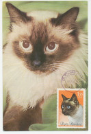 Maximum Card Rumania 1965 Cat - Altri & Non Classificati
