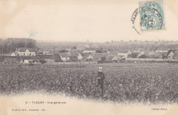 Yonne - Fleury - Vue Générale - Andere & Zonder Classificatie