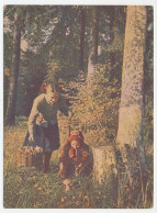 Postal Stationery Soviet Union 1954 Mushrooms Picking - Hongos
