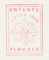 Meter Card Netherlands 1991 Flower Entente Florale - Asten - Other & Unclassified