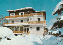 ZY 53-(38) HOTEL " LE PRE FLEURI " - LES COCHETTES - 2 SCANS - Villard-de-Lans