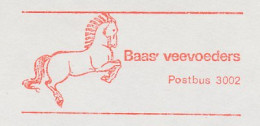 Meter Cut Netherlands 1976 Horse - Horses