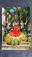 CARTE  BRODEE FOKLORE FOLKLORIQUE ESPAGNE ESPAGNOLE  DANSE FLAMENCO ROBE CHICLANA MARIN PALMIER - Ricamate