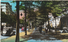 ZY 65-(49) ANGERS - LE BOULEVARD MARECHAL FOCH - ANIMATION - 2 SCANS - Angers