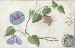 ZY 66- CARTE PEINTE , FLEURS LISERONS - AJOUT INSECTE EN NACRE - 2 SCANS - Sonstige & Ohne Zuordnung