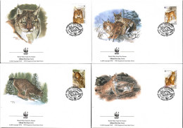 Belarus 2000 Mi 373-376 FDC  (FDC ZE4 BYL373-376) - Felinos